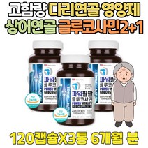 고함량 상어 연골 허리 관절 인대 무릎 건강 영양제 정 JOINT SUPPORT GREENLIPPED 푸른 초롱 잎 홍합 디메틸설폰 엠에스엠 MSM 먹는 유황 식이 글루코사민