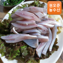 [자연산] 당일조업 생물 병어 1kg 병어회 선도보장, 병어(대) 1kg 4-6미, 비손질, 1개