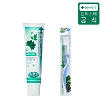 덴티스테 브리즈민트 무불소 무색소 입냄새 제거 치약, 브리즈민트 160g 1개 + 이중모 칫솔