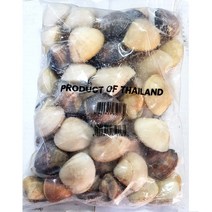 원양 태국 백합조개 1K X 5개