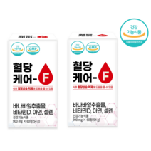 혈당케어 F 바나바잎추출물 식약처인증 식후 혈당 상승 억제 코로솔산, 2통 (120정)
