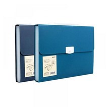 델리 꿈드림22 5000 린피니 인덱스 5분류 도큐멘트 파일백 서류정리파일 포켓파일, 블루