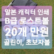 메이저브랜드 로스트볼 B급 로스트볼 20알 1세트 말본 캐릭터 프린팅 골린이 초보자 골프공, 혼마
