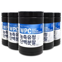 퓨어영 WPC 유청단백질 농축분말 300g 미국산, 5통