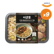 [아모제] 자문밖 산채나물솥밥&버섯소고기볼 냉동 도시락 230g x 9개, 상세 설명 참조