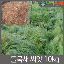 들묵새 씨앗 10kg 초생재배 잔디 과수원 플랜테리어 정원 들묵새파종시기