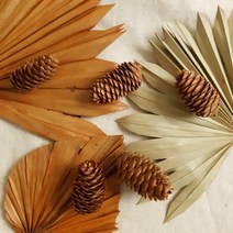 인테리어 소품 페이지 [소품가] 길쭉한 1p 솔방울 전통 돌잔치 백일상 촬영소품 가을 겨울