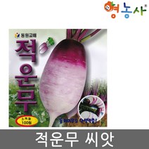 적운무씨앗 100립