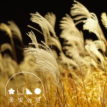 꽃빛농원 모닝라이트 4치포트 억새풀, 4치 포트