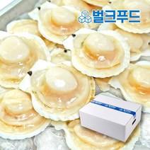 냉동 가리비 1.8kg 반가리비 업소용, 옵션2. 중 1.8kg (70-80마리)