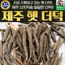 제주 햇 더덕 실속 2kg / 즙이나 갈아먹는용도 입니다