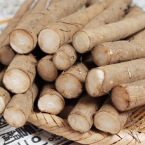 향긋한 23년산 안동 햇 우엉 2kg / 4kg, 1개, 2kg (중품)