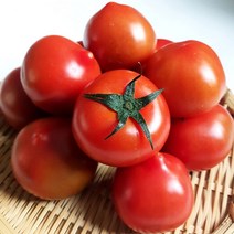 부여 스테비아 토마토 슈가 토망고 1kg, 4kg, 4개