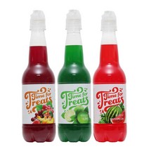 타임 포 트릿츠 트로피컬 펀치 수박 라임 시럽 팩 500ml 3팩, 473.2ml