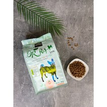 올펫연어2kg (통포함) 강아지사료 4개월이상 푸들 말티즈 요크셔테리어 비숑프리제, 올펫연어2kg+사료통