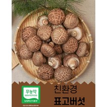 표고버섯 화고특가 생 표고 버섯 산지직송 선물추천 끝내주는 화고 특품1kg 명절선물 농장직송 이육식, 화고-2kg, 1개