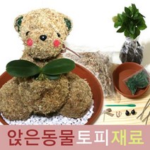 큰나무상사 앉은동물 토피어리재료 아이비 토피어리 잔디인형, 1개
