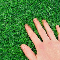 테라스 여름 인조잔디 25MM 6평 축구장 정원 풋살 옥상 조경 매트