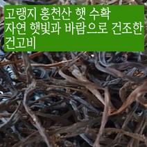 국산 햇 나물 강원도 홍천 산지직송 건 고비나물 100g 자연 바람 햇볕 재배 말린 고비 건조한 고비나물 정월대보름나물, 1개