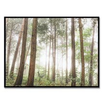 시즈닝그라피 - 제주올레 외국인 선물 그리너리 가을 풍경 사진 인테리어 액자, 유럽형 L 50cm x 70cm, 뉴질랜드 원목 액자_메이플색