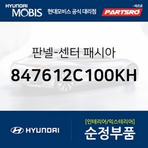 판넬-센터 패시아 (847612C100KH)-현대모비스 부품 공식대리점 온라인쇼핑몰 파츠로 투스카니