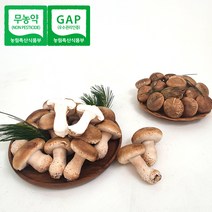 송이고 송화 버섯, 선물세트, 700g