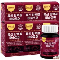 본트비 류신 단백질 타블렛 아미노산 BCAA 머슬코어 500mgx60정 6박스, 60정, 6개