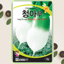 김장무씨앗 15g 청아무 가을김장무씨앗 가을무씨앗, 1개