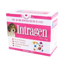 인트라젠 플러스 30개입 반려동물 위장건강 면역증강, 1개