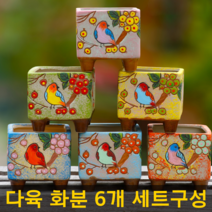 종달새 다육이화분 9cm 6종세트 가재발선인장 게발선인장 칼란디바 아악무 유접곡 월동자 극락조 스파티필름 실내공기정화식물 플랜테리어, 6종 세트
