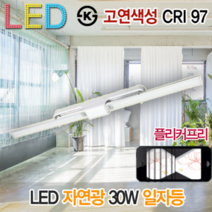 윤라이팅 19430 고연색성 LED 일자등 30W 자연광 플리커프리 조명 매장 교회 스튜디오 인쇄소 촬영 CRI97 KS, 화이트(5700K)