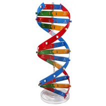 과학열차 DNA 이중 나선 모형 만들기