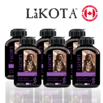 라코타 캐나다 LAKOTA 조인트케어 관절 영양제 240정, 6개