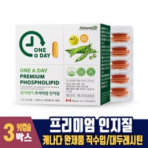 원어데이 프리미엄 인지질 100% 식물성 대두 레시틴 포스파티딜콜린 캐나다 완제품 직수입, 3박스, 90캡슐