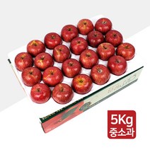 [명품농원] 당도선별 문경 사과 5kg 꿀 부사 선물세트, 1박스, 07. 명품농원 중소과 5kg(22~23과)-선물용