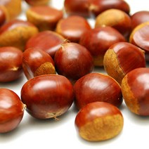 21년 햇밤 달고 맛있는 속이 꽉찬 공주 정안밤 알밤 생밤 밤, 대-2kg, 1box