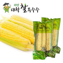 수확 후 바로삶은 괴산 대학 찰옥수수 15개(3개씩포장)
