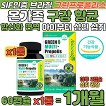 민트향 츄어블 그린프로폴리스 SIF인증 구강항균 캡슐 아이 성인 온가족 면역력 증진 항산화 유산균 플라보노이드 비타민 함유 씹어 먹는 연질 캡슐 눈 피부건강 에너지활력 증진 보충제