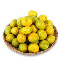 1월18일 오전5시까지 주문시 명절전배송 농협공판장 정성드린 제주 칠십리 노지감귤 5kg(L-2L/37-46...
