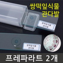 2P 현미경 관찰 쌍떡잎식물 관다발 프레파라트 관찰표본 글라스 도구 표본 학습 원리 슬라이드 실험실