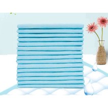 성인 소변 패드 1회용 일회용 간호 기저귀 요양 병원, 80x120 10개 포지셔닝 스티커 1x1cm