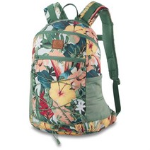 Dakine 드라이백팩 WNDR 18L Backpack, Island Spring