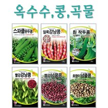 주주씨앗 콩 곡물 옥수수씨앗 16종 / 강낭콩 / 퀴노아 / 백태콩 / 서리태 / 찰옥수수 / 땅콩 / 작두콩 / 완두콩 / 씨앗 / 텃밭, 15. 세계땅콩 30g
