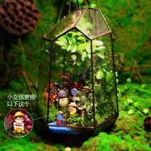 테라리움 키트 글래스 하우스 이끼테라리움 만들기 DIY 비바리움, 그린리버사이드(조립)
