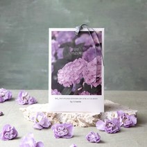 모던하우스 감성 꽃길만 사쉐