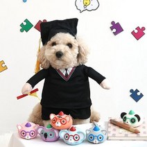 잇몸약한애견 소프트 강아지 장난감(랜덤) 2개 강쥐선물 푸들장난감 장난감집착 예방