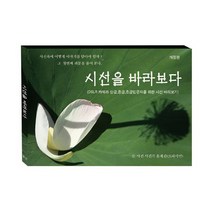 시선을 바라보다 : DSLR 카메라 상급 중급 초급입문자를 위한 시선 바라보기 개정판
