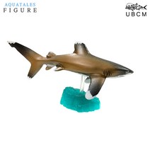 피규어 바다 물고기 모형 일본 고퀄리티 피겨, 상어