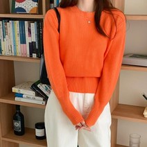 신세계TV쇼핑 [옷자락] 여자 비비드 무지개컬러 라운드넥 골지 밴드 니트