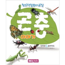 곤충 이야기(인터넷 & 슬라이드):창의력 컴퓨터 교실, 렉스미디어